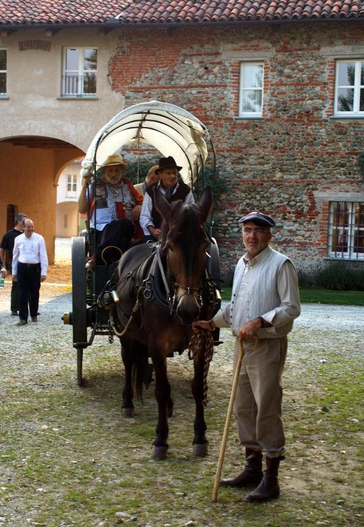 Agriturismo Camisassi Saluzzo Kültér fotó